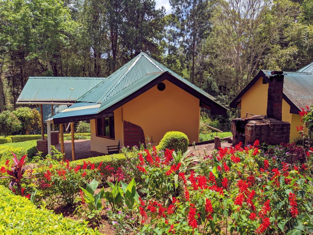 Lawns Hotel Lushoto Zewnętrze zdjęcie